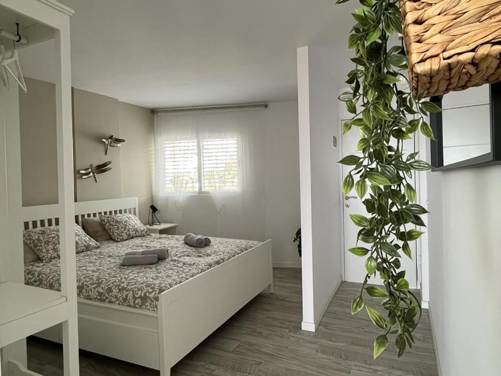 Apartamento Ponderosa Tenerife Playa de las Americas (Tenerife)